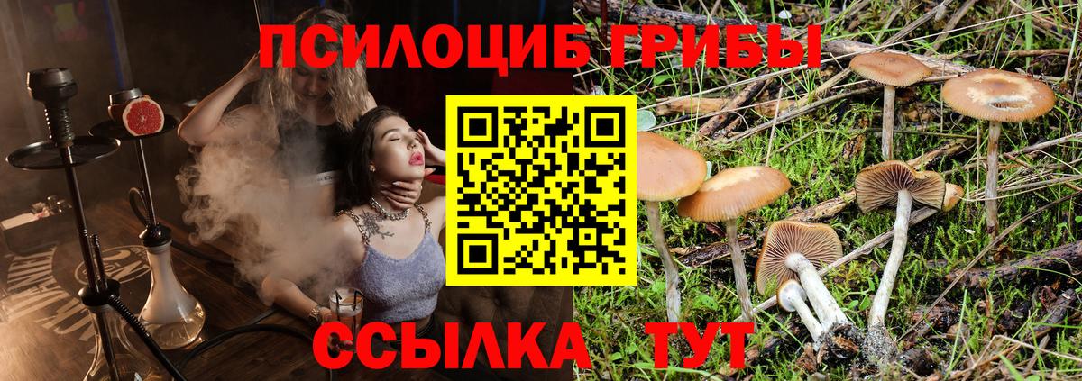 Псилоцибиновые грибы GOLDEN TEACHER Добрянка