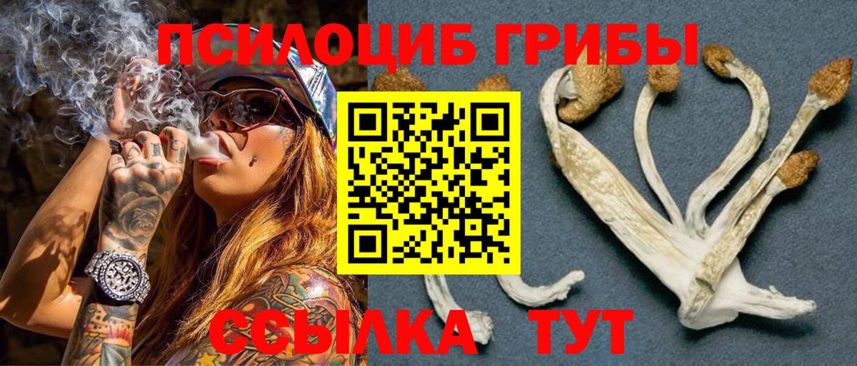 Галлюциногенные грибы Magic Shrooms  Вход с VPN  Добрянка 